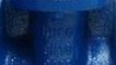 Cast Iron Gate Valve