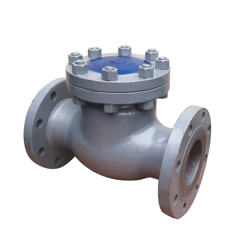 Cast Iron Check Valve