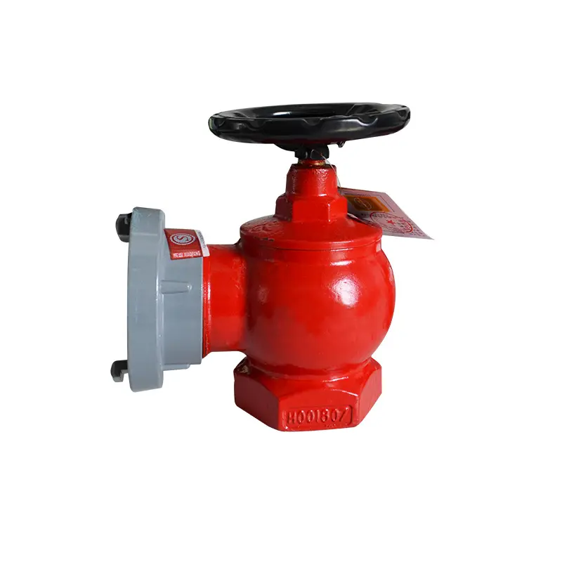 Indoor fire hydrant