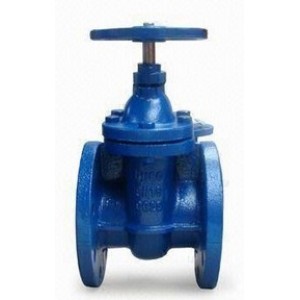 Cast Iron Gate Valve